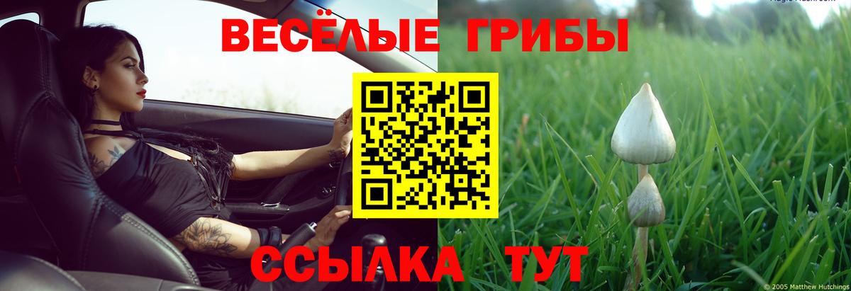 Галлюциногенные грибы GOLDEN TEACHER Волоколамск